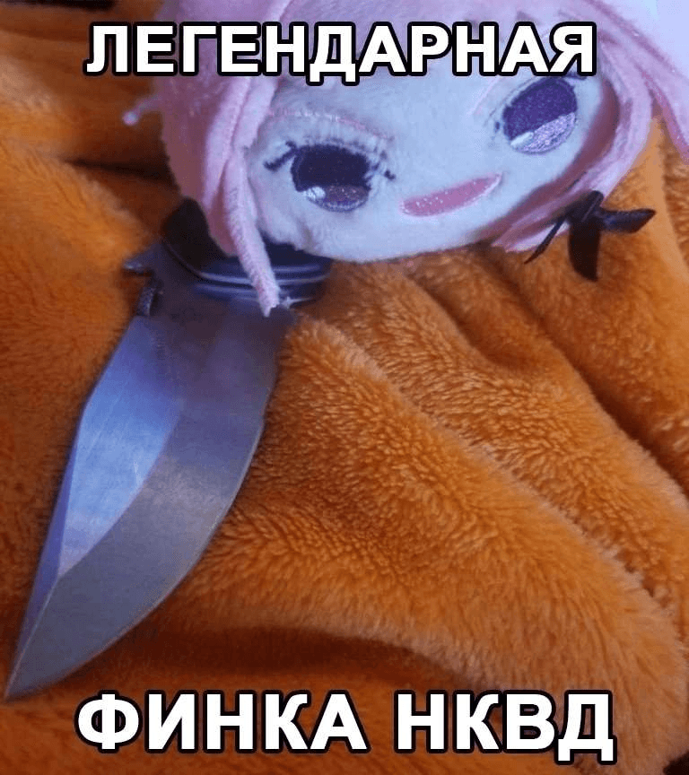 Community Highlights